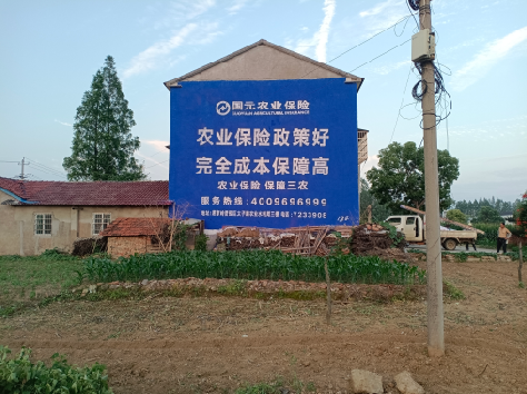 和县墙体广告为何受追捧？